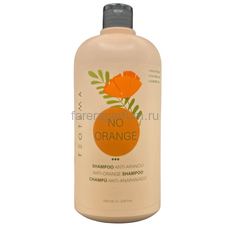 Teotema Шампунь для нейтрализации  оранжевых оттенков 1000 мл., Средства: Шампунь, Обьём: 1000 мл.