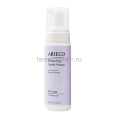 Arieco Moisturizig Gentle Mousse Увлажняющий мусс 160 мл., Средства: Мусс , Обьём: 160 мл.