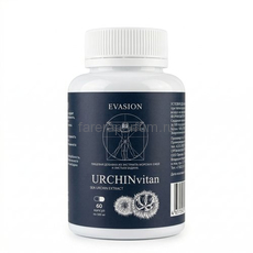 Evasion Гидролизат морского ежа и листьев Бадана Urchin Vitan 60 капсул.