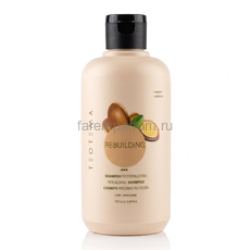 Teotema Шампунь Восстанавливающий 250 мл., Средства: Шампунь, Обьём: 250 мл.