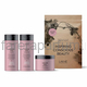 Lakme Color Stay Дорожный набор для защиты цвета окрашенных волос Lakme Color Stay Дорожный набор для защиты цвета окрашенных волос